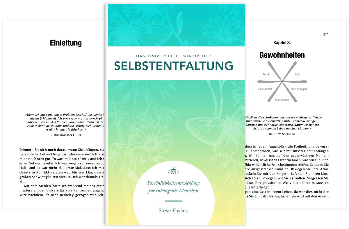 Das Buch von Steve Pavlina - Das universelle Prinzip der Selbstentfaltung